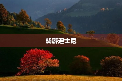 畅游迪士尼 畅游迪士尼