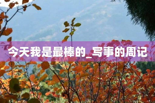 今天我是最棒的_写事的周记 今天我是最棒的_写事的周记