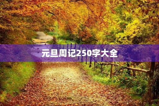 元旦周记250字大全 元旦周记250字大全