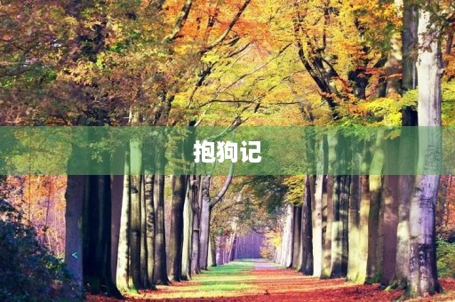 抱狗记 抱狗记
