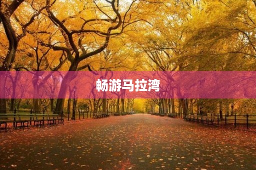 畅游马拉湾 畅游马拉湾