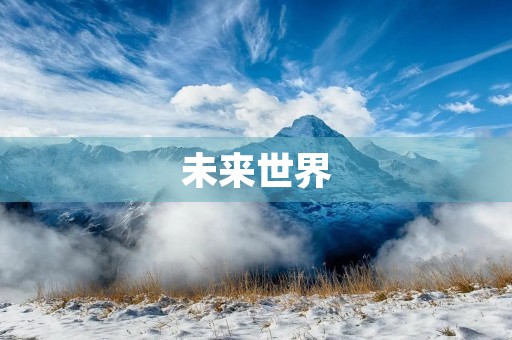 未来世界 未来世界
