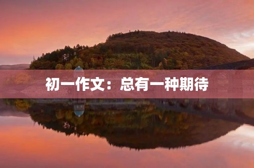 初一作文:总有一种期待 初一作文:总有一种期待