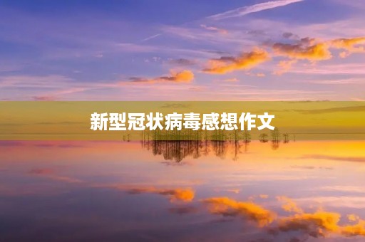 新型冠状病毒感想作文【中学生】