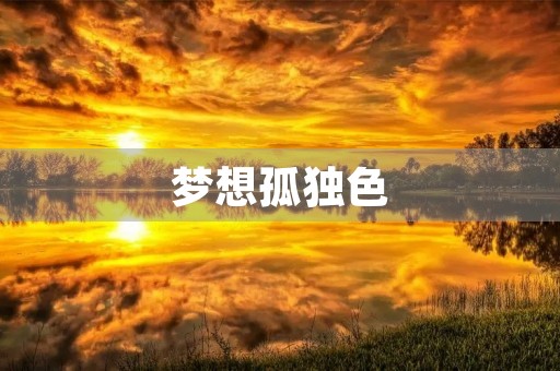 梦想孤独色 梦想孤独色