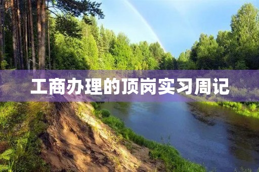 工商办理的顶岗实习周记 工商办理的顶岗实习周记
