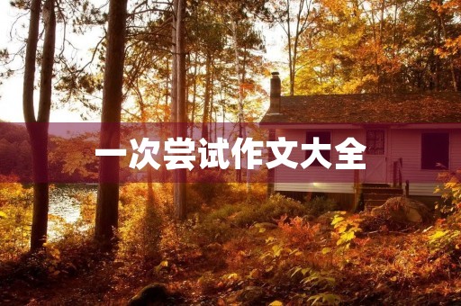 一次尝试作文大全 一次尝试作文大全