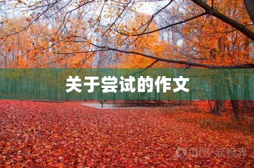 关于尝试的作文