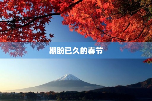 期盼已久的春节