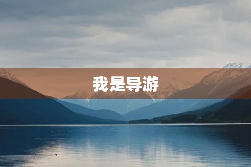 我是导游 我是导游
