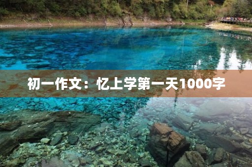 初一作文：忆上学第一天1000字