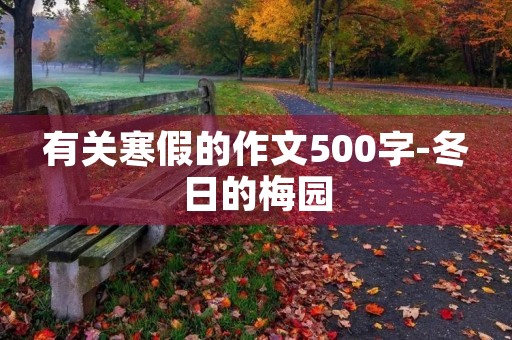 有关寒假的作文500字-冬日的梅园