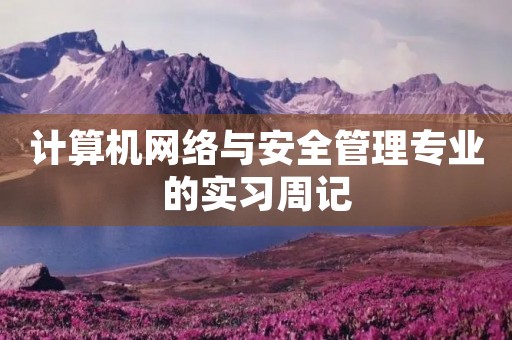 计算机网络与安全管理专业的实习周记