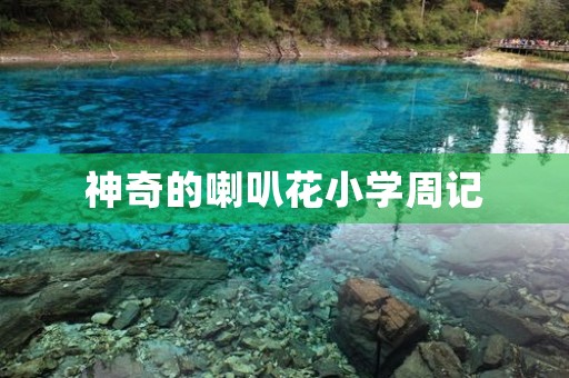 神奇的喇叭花小学周记 神奇的喇叭花小学周记
