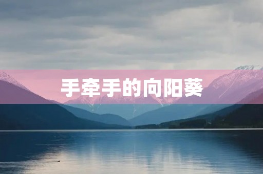 手牵手的向阳葵 手牵手的向阳葵