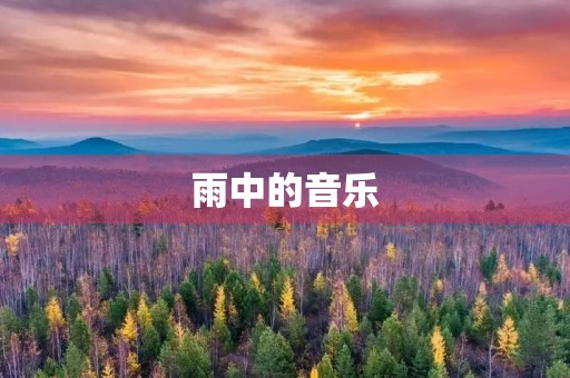 雨中的音乐 雨中的音乐