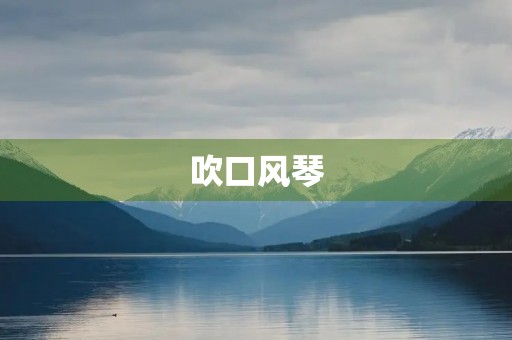 吹口风琴