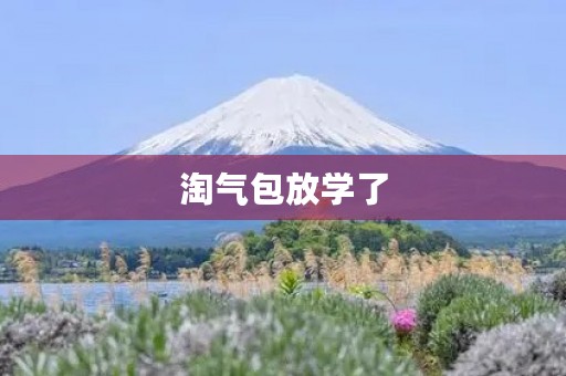 淘气包放学了 淘气包放学了