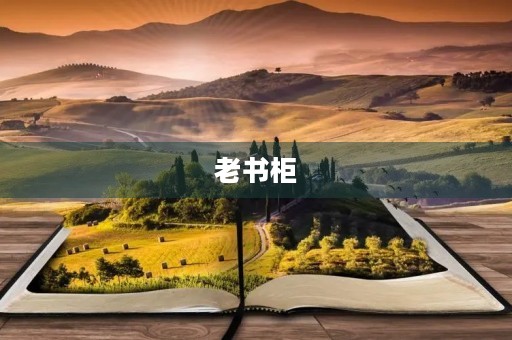 老书柜 老书柜