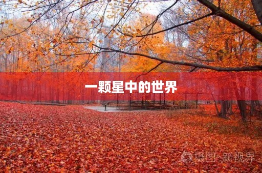 一颗星中的世界