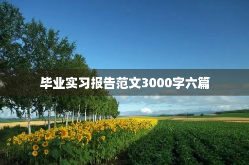 毕业实习报告范文3000字六篇