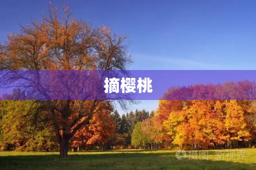 摘樱桃 摘樱桃