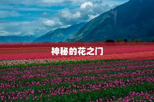 神秘的花之门