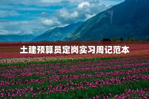 土建预算员定岗实习周记范本