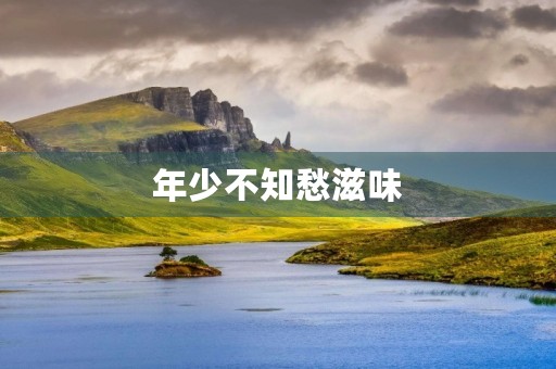 年少不知愁滋味 年少不知愁滋味