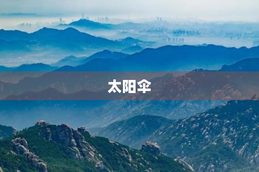 太阳伞 太阳伞