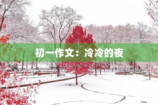 初一作文：冷冷的夜