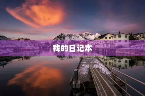 我的日记本 我的日记本