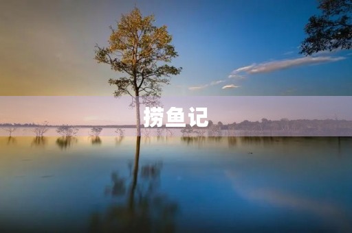 捞鱼记 捞鱼记