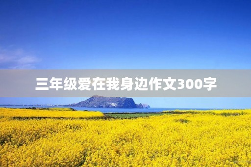 三年级爱在我身边作文300字 三年级爱在我身边作文300字