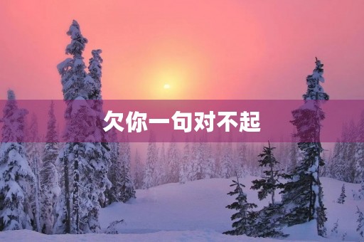 欠你一句对不起