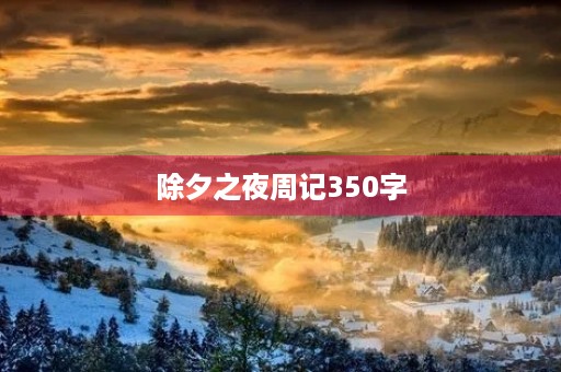 除夕之夜周记350字