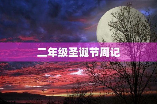 二年级圣诞节周记