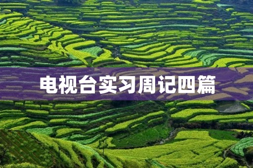 电视台实习周记四篇 电视台实习周记四篇