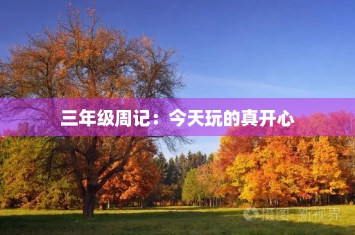 三年级周记:今天玩的真开心 三年级周记:今天玩的真开心