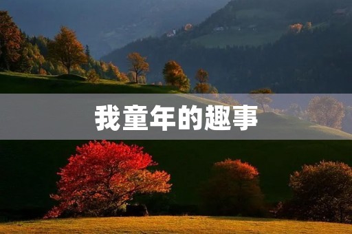 我童年的趣事 我童年的趣事