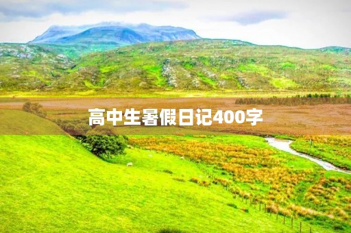 高中生暑假日记400字