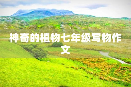 神奇的植物七年级写物作文 神奇的植物七年级写物作文
