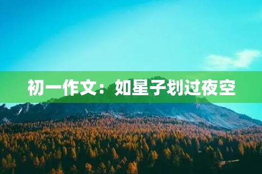 初一作文:如星子划过夜空 初一作文:如星子划过夜空