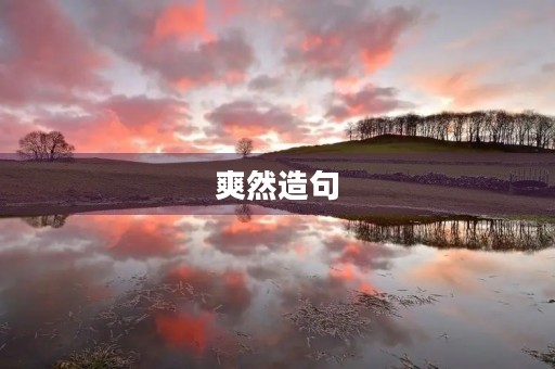 爽然造句