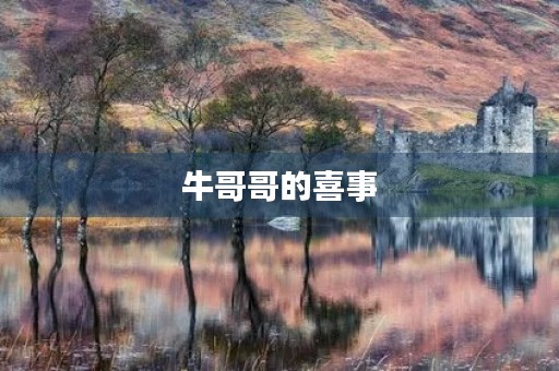 牛哥哥的喜事 牛哥哥的喜事