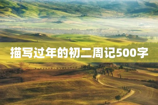 描写过年的初二周记500字 描写过年的初二周记500字