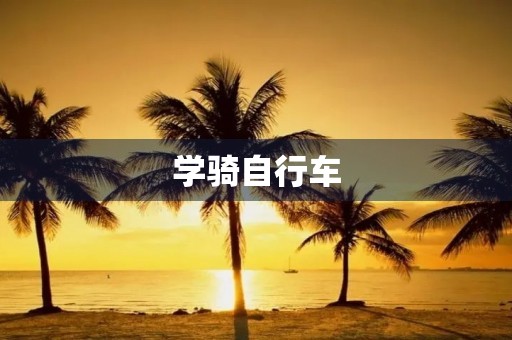 学骑自行车 学骑自行车
