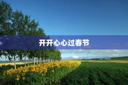 开开心心过春节 开开心心过春节