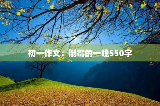 初一作文:倒霉的一晚550字 初一作文:倒霉的一晚550字