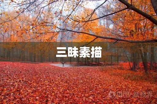 三昧素描 三昧素描